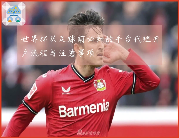 世界杯买足球前必知的平台代理开户流程与注意事项