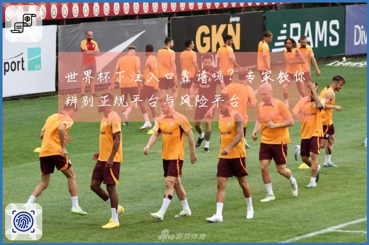 世界杯下注入口靠谱吗？专家教你辨别正规平台与风险平台